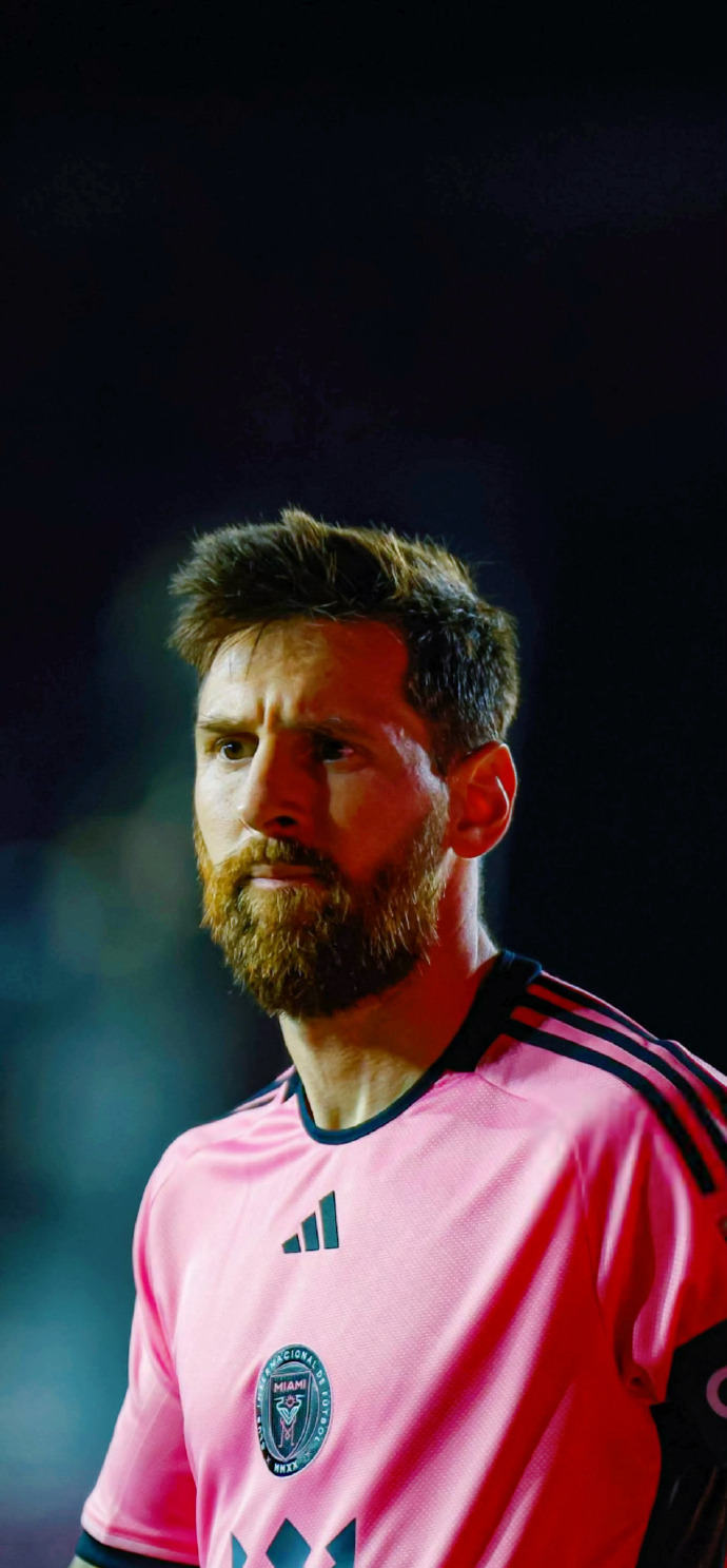 的后备力量 的后备力量