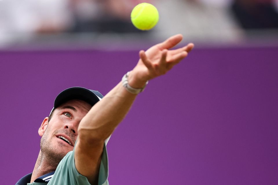 的公众形象 的公众形象